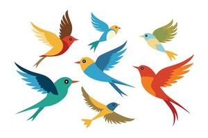Flying birds flat illustration white background. vector