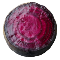 Beetroot slice , top view, flat lay design, isolated on transparent background. Fresh red beet slice with vibrant color and natural texture, perfect for food presentation and healthy recipes png