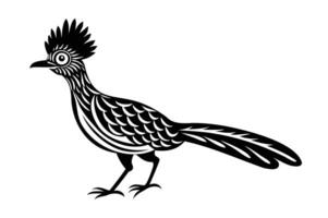 A black and white illustration of a bird with a long tail vector