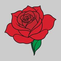 beautiful red rose on background color vector