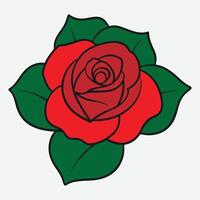 Red rose In white background vector
