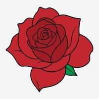 Decorative Red Rose. with green leaves. Flower icon. Beautiful red rose Isolated on white background. Realistic red rose lying on white background. vector