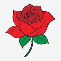 Deep red, ruby rose flower with green leaves, sketch style vector