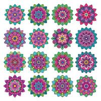 A set of 16 colorful mandala illustration isolated on white background vector