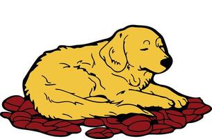 Golden retriever clipart vector