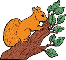 Squirrel on tree branch vector