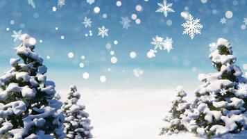 A group of snow covered trees in the middle of a snowy field video