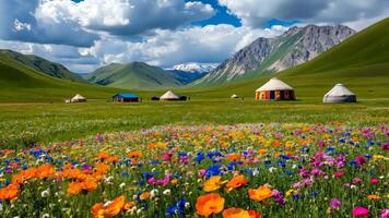 A field of colorful flowers in front of a group of yurts in the mountains video