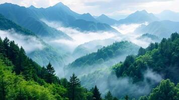 A view of a mountain range covered in fog and trees video