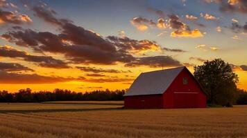 A red barn sits in the middle of a field at sunset video