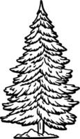 A black and white drawing of a pine tree vector