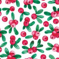 watercolor seamless pattern with cranberries. illustration in simple style, wild berry leaves and berries vector