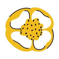 Bell pepper cross section with visible seeds in a simple hand drawn style vector