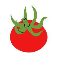 Simple drawing of a whole red tomato with green stem in clean flat style vector