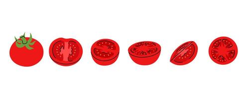 Set of illustrations depicting red tomato in multiple forms whole, halved, and sliced vector