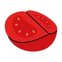 Simple drawing of a quarter red tomato with seeds in doodle style vector