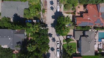 Aerial view of the Beverly Hills drive lined with tall and majestic palm trees, Los Angeles, California. video