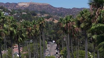 Aerial view of the tall California palm trees with the Hollywood sign in the background. Californian summer vibes. Beverly Hills drive video