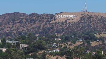 Aerial view of the tall California palm trees with the Hollywood sign in the background. Californian summer vibes. Beverly Hills drive video
