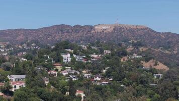 Aerial view of the tall California palm trees with the Hollywood sign in the background. Californian summer vibes. Beverly Hills drive video