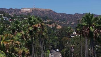 Aerial view of the tall California palm trees with the Hollywood sign in the background. Californian summer vibes. Beverly Hills drive video