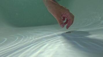 A person's hand reaching into the water to touch a small object video