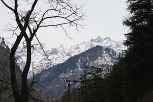 Snow Mountains View from Kasol Village in Himachal Pradesh photo