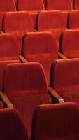 vertical rows of empty bright spectator seats in an empty hall before show video