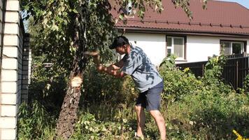 Lumberjack man chopping down tree with axe in backyard video