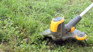 Lawn trimmer in the process of work. Close-up of trimmer working part video