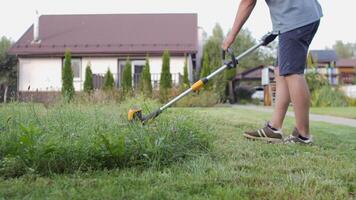 Gardener actively trimming grass with a string trimmer in a residential backyard video