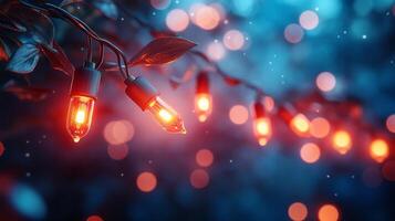 Christmas lights on a tree photo