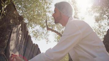 Agronomist with lab coat analyzing the trunk of an olive tree video