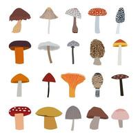 mushroom collection set with various types vector