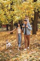 Happy young family walks and plays with a dog in the autumn park photo
