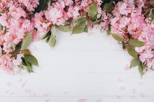 Sprigs of the sakura tree with flowers and petals on a wooden white background. Place for text. The concept of spring came. Top view. Flat lay photo