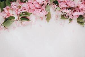 Sprigs of the sakura tree with flowers and petals on trendy marble background. Place for text. The concept of spring came. Top view. Flat lay photo
