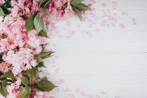 Sprigs of the sakura tree with flowers and petals on a wooden white background. Place for text. The concept of spring came. Top view. Flat lay photo