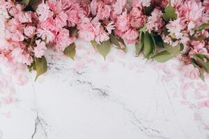 Sprigs of the sakura tree with flowers and petals on trendy marble background. Place for text. The concept of spring came. Top view. Flat lay photo