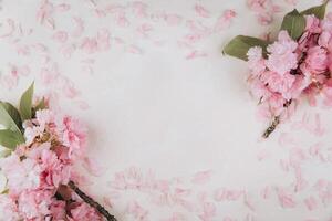Sprigs of the sakura tree with flowers and petals on trendy marble background. Place for text. The concept of spring came. Top view. Flat lay photo