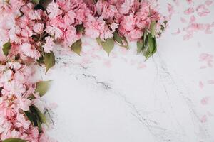 Sprigs of the sakura tree with flowers and petals on trendy marble background. Place for text. The concept of spring came. Top view. Flat lay photo