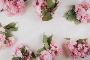 Sprigs of the sakura tree with flowers and petals on trendy marble background. Place for text. The concept of spring came. Top view. Flat lay photo