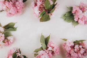 Sprigs of the sakura tree with flowers and petals on trendy marble background. Place for text. The concept of spring came. Top view. Flat lay photo