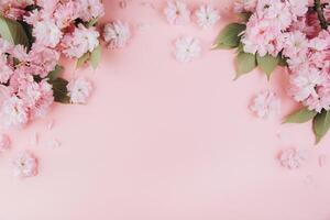 Sprigs of the sakura tree with flowers and petals on a pink background. Place for text. The concept of spring came. Top view. Flat lay photo