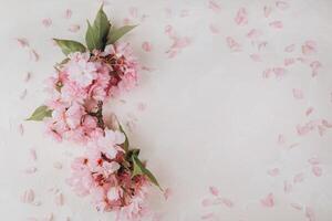 Sprigs of the sakura tree with flowers and petals on trendy marble background. Place for text. The concept of spring came. Top view. Flat lay photo
