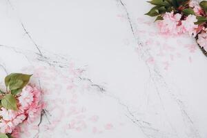 Sprigs of the sakura tree with flowers and petals on trendy marble background. Place for text. The concept of spring came. Top view. Flat lay photo