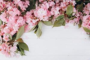 Sprigs of the sakura tree with flowers and petals on a wooden white background. Place for text. The concept of spring came. Top view. Flat lay photo