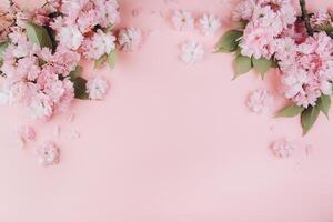 Sprigs of the sakura tree with flowers and petals on a pink background. Place for text. The concept of spring came. Top view. Flat lay photo