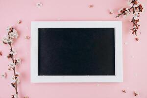 Spring flowers cherry blossoming around blackboard on the pink background. Top view with copy space. Flat lay photo