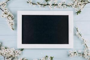 Spring flowers cherry blossoming around blackboard on the blue wooden background. Top view with copy space. Flat lay photo
